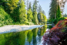 22696 132 Avenue, Maple Ridge, BC