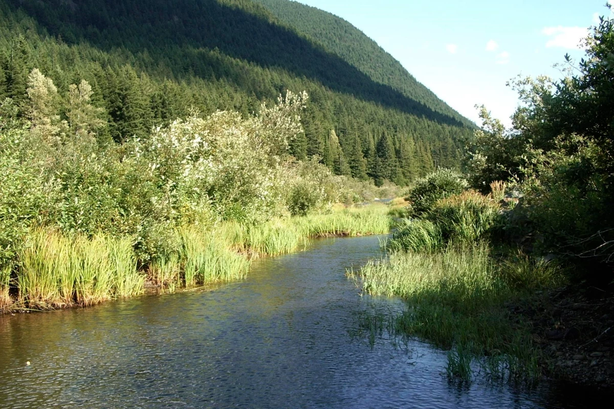 Entry Foyer Photo of 14970 Parkview Avenue, Sunshine Valley, BC