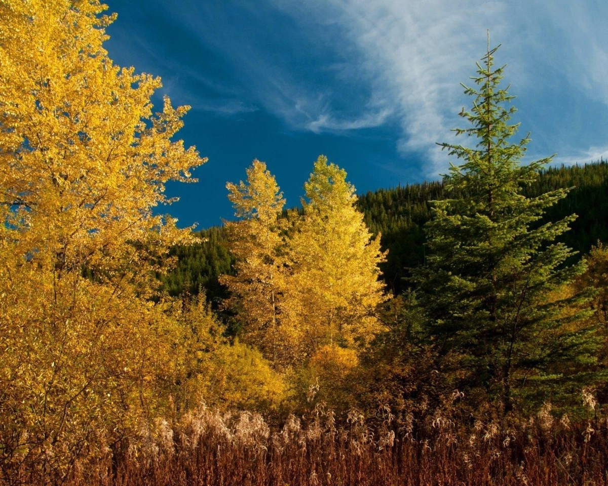 Loft / Bonus Room Photo of 14970 Parkview Avenue, Sunshine Valley, BC