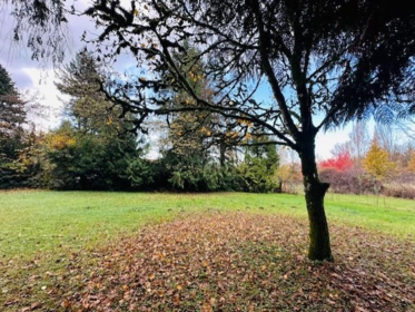 18351 74 Avenue, Surrey, BC, Surrey — Single Family Residence for sale