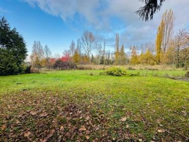 18351 74 Avenue, Surrey, BC, Surrey — Single Family Residence for sale