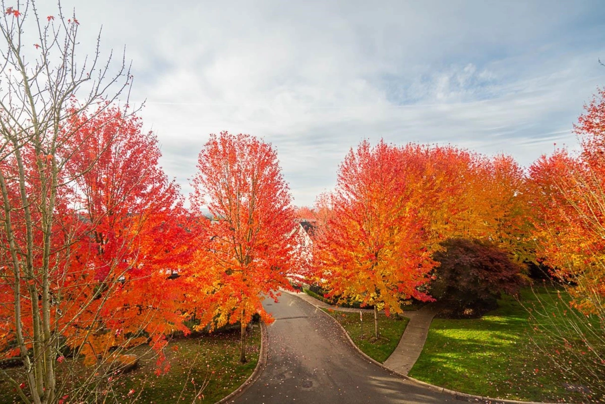 Laundry Room Photo of 3 1338 Hames Crescent, Coquitlam, BC