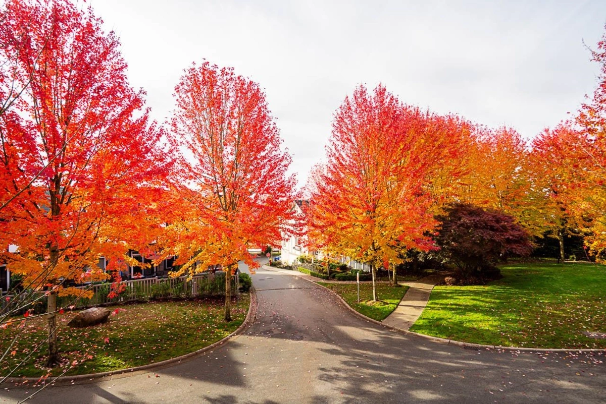 Powder Room Photo of 3 1338 Hames Crescent, Coquitlam, BC