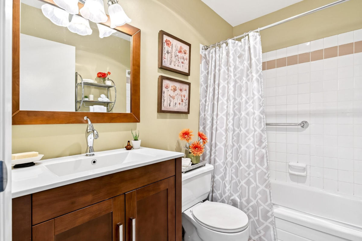 Aerial View of 19 1200 Brunette Avenue, Coquitlam, BC