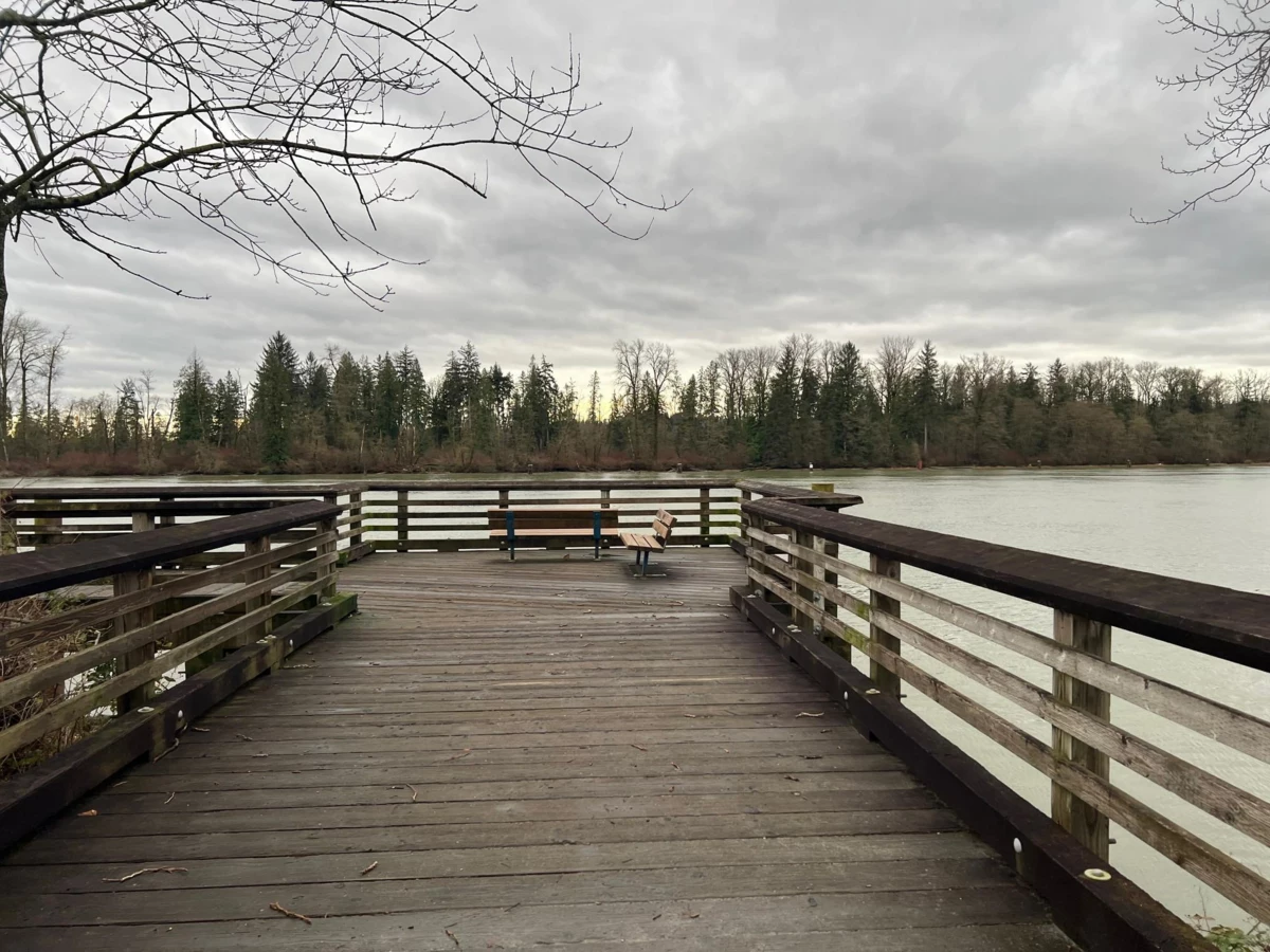 Aerial View of 19 2381 Argue Street, Port Coquitlam, BC