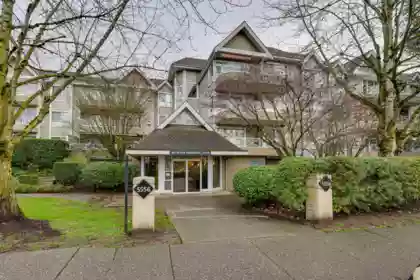 313 5556 201a Street, Langley, BC, Langley — Apartment/Condo for sale