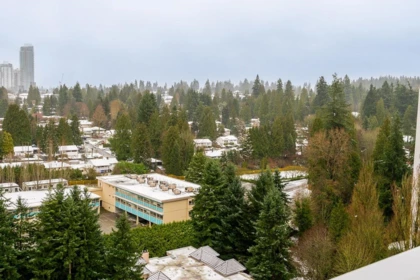 Neighborhood Park Photo Near 1803 518 Whiting Way, Coquitlam, BC
