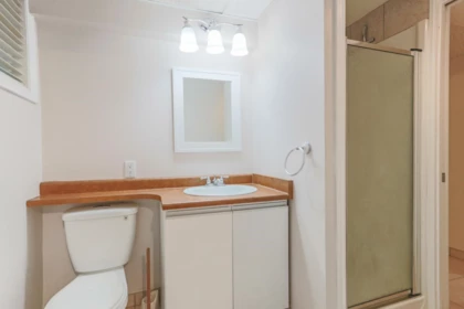 Aerial View of 1352 E 16th Street, North Vancouver, BC