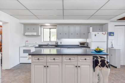 Pantry Photo of 34612 2 Street, Abbotsford, BC