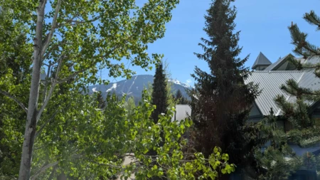 96 4355 Northlands Boulevard, Whistler, BC, Whistler — Townhouse for sale