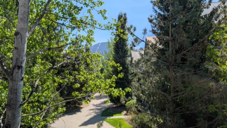 Loft / Bonus Room Photo of 96 4355 Northlands Boulevard, Whistler, BC