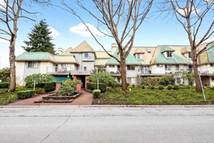 101 22275 123 Avenue, Maple Ridge, BC, Maple Ridge — Apartment/Condo for sale
