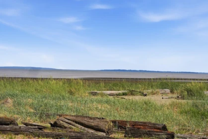 Front Yard Photo of 1364 Beach Grove Road, Delta, BC