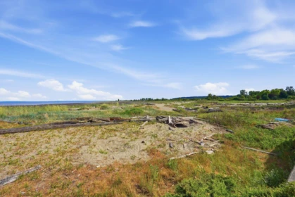 Garden / Landscaping Photo of 1364 Beach Grove Road, Delta, BC