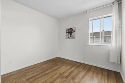 Basement Recreation Room Photo of 4 3384 Coast Meridian Road, Port Coquitlam, BC