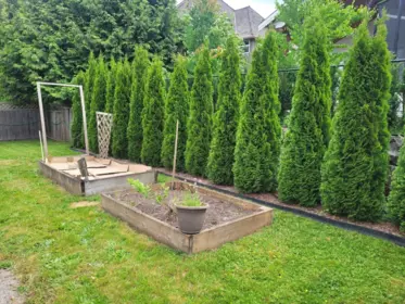 Outdoor Kitchen Photo of 3712 Dunsmuir Way, Abbotsford, BC