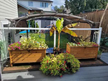 Outdoor Patio Photo of 3712 Dunsmuir Way, Abbotsford, BC