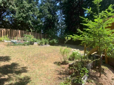 Backyard Photo of 521 Sandy Hook Road, Mayne Island, BC
