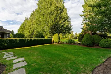 Street View Photo of 3338 157a Street, Surrey, BC