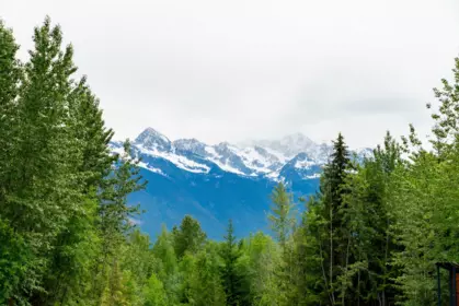 DL3238 Highline Road, D'Arcy, BC, D'Arcy — Land for sale