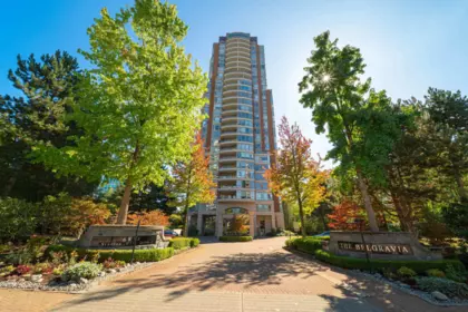 Neighborhood Park Photo Near 507 6838 Station Hill Drive, Burnaby, BC