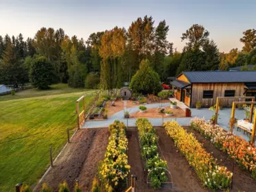 Outdoor Deck Photo of 23873 12 Avenue, Langley, BC