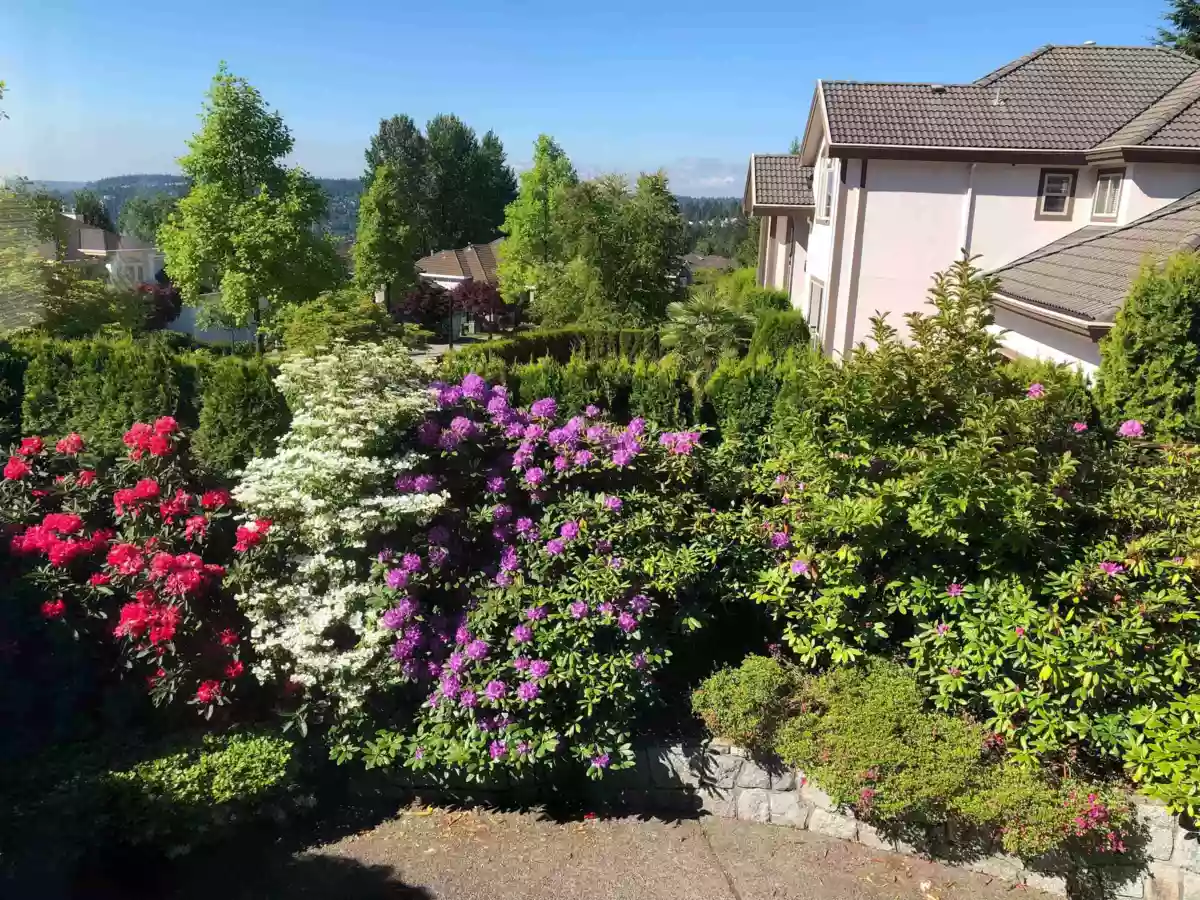 Backyard Photo of 3022 Plateau Boulevard, Coquitlam, BC