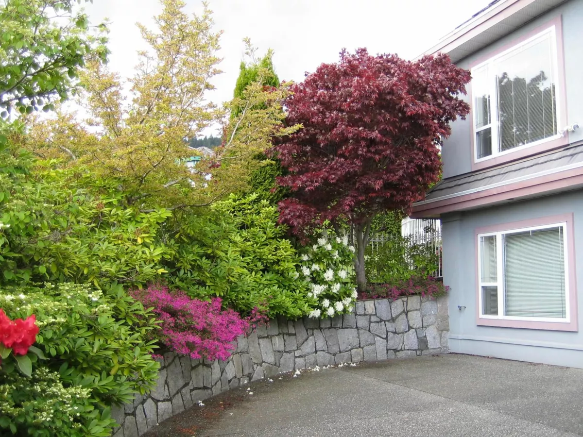 Front Yard Photo of 3022 Plateau Boulevard, Coquitlam, BC