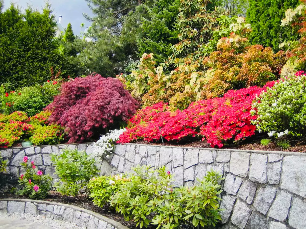 Garage Interior Photo of 3022 Plateau Boulevard, Coquitlam, BC