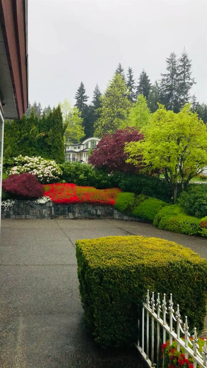 Garden / Landscaping Photo of 3022 Plateau Boulevard, Coquitlam, BC