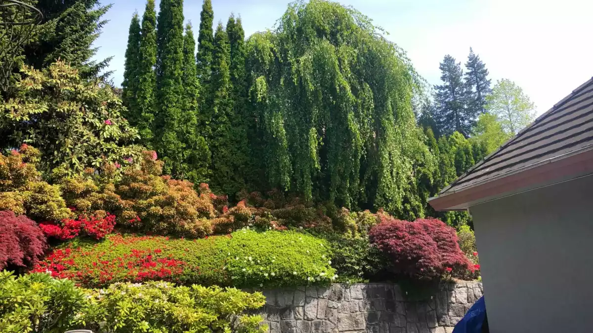 Hallway Photo of 3022 Plateau Boulevard, Coquitlam, BC