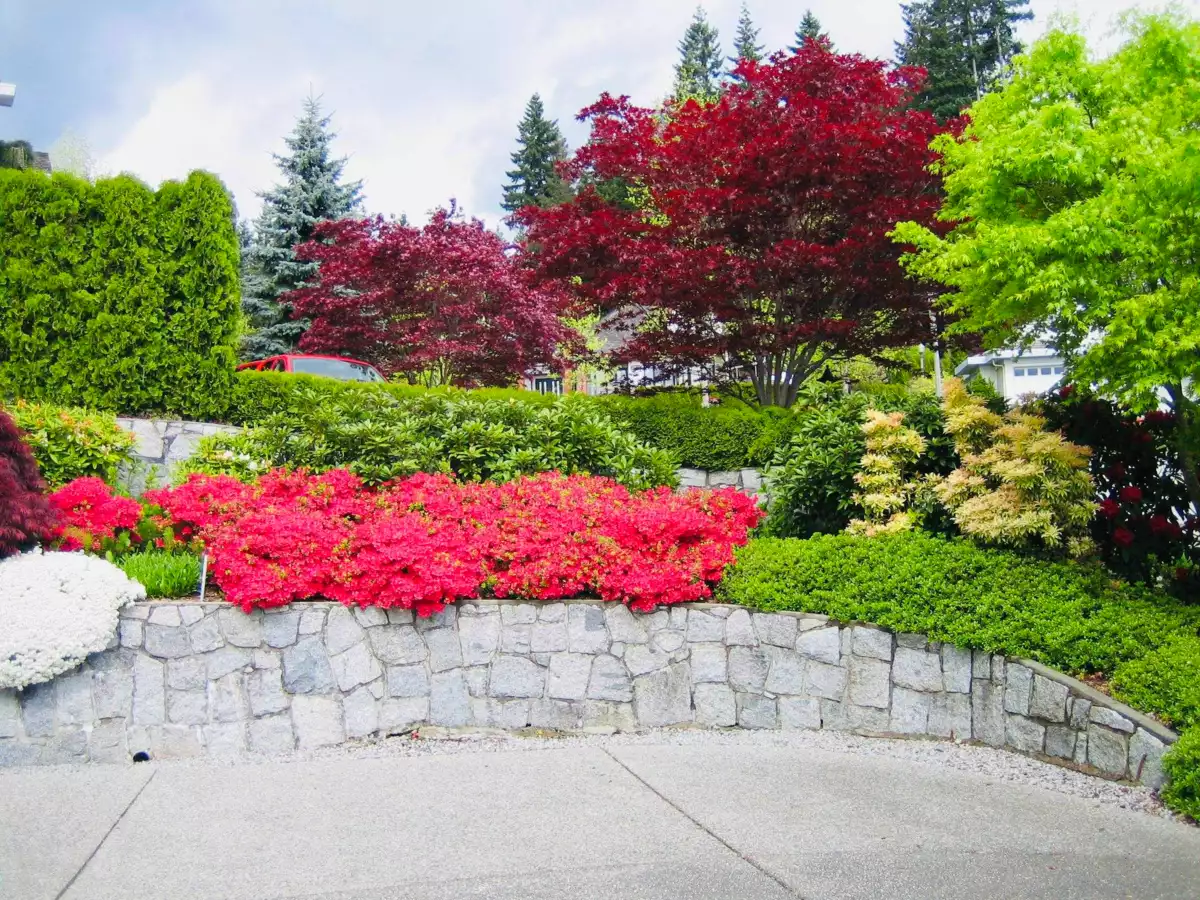 Outdoor Kitchen Photo of 3022 Plateau Boulevard, Coquitlam, BC