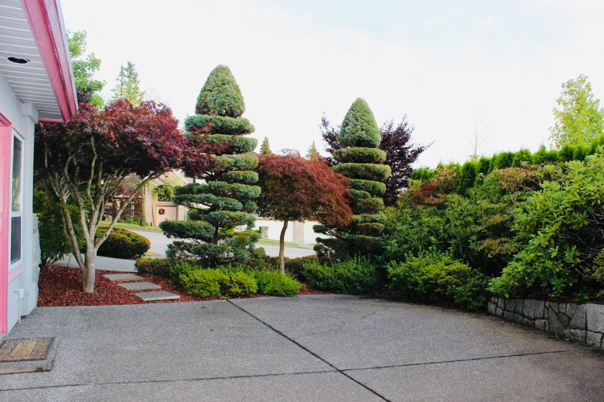 Outdoor Patio Photo of 3022 Plateau Boulevard, Coquitlam, BC