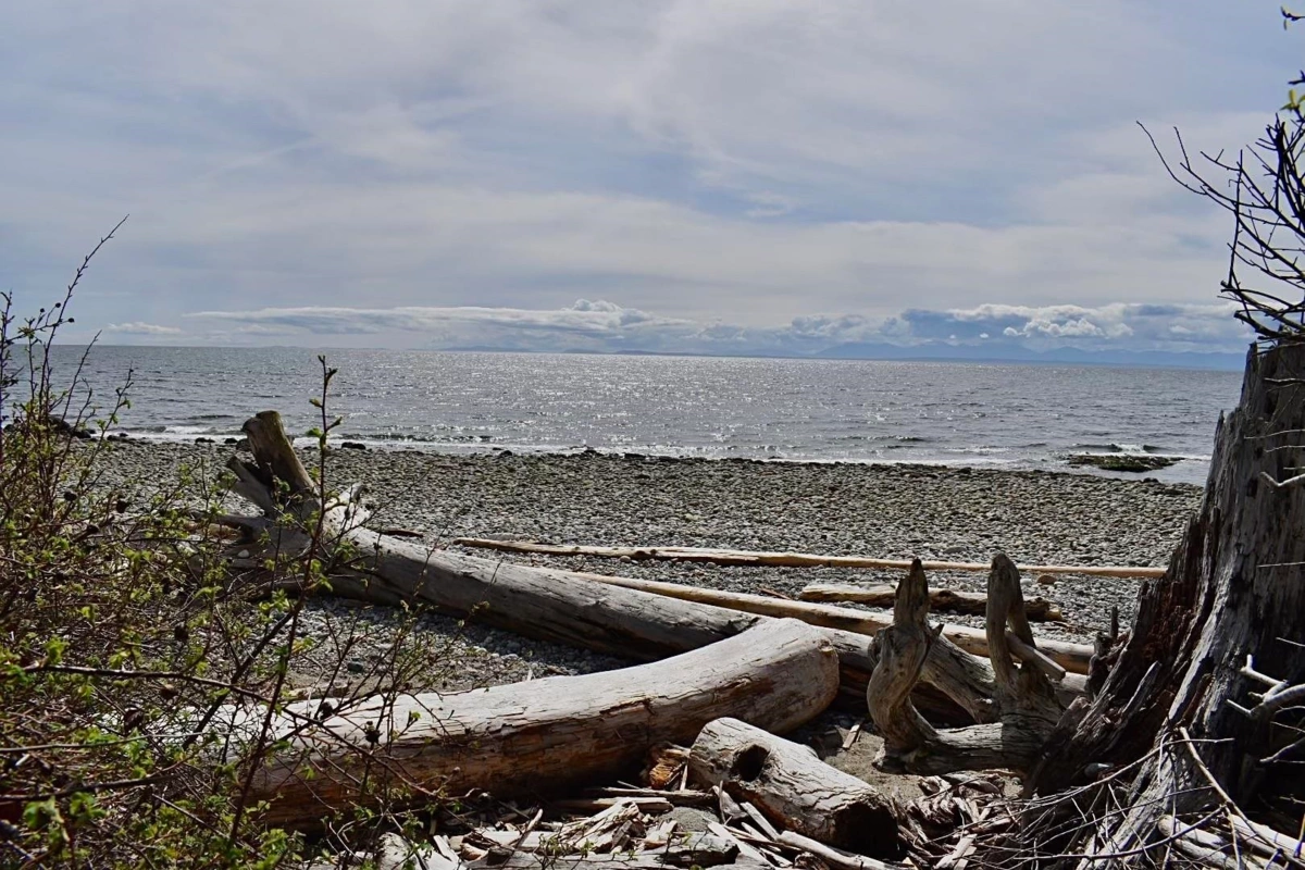 Basement Recreation Room Photo of 2763 Lower Road, Roberts Creek, BC