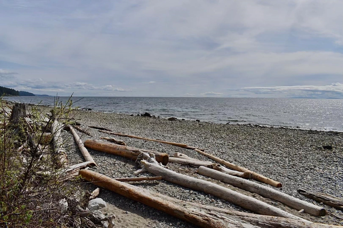 Exterior Rear Photo of 2763 Lower Road, Roberts Creek, BC