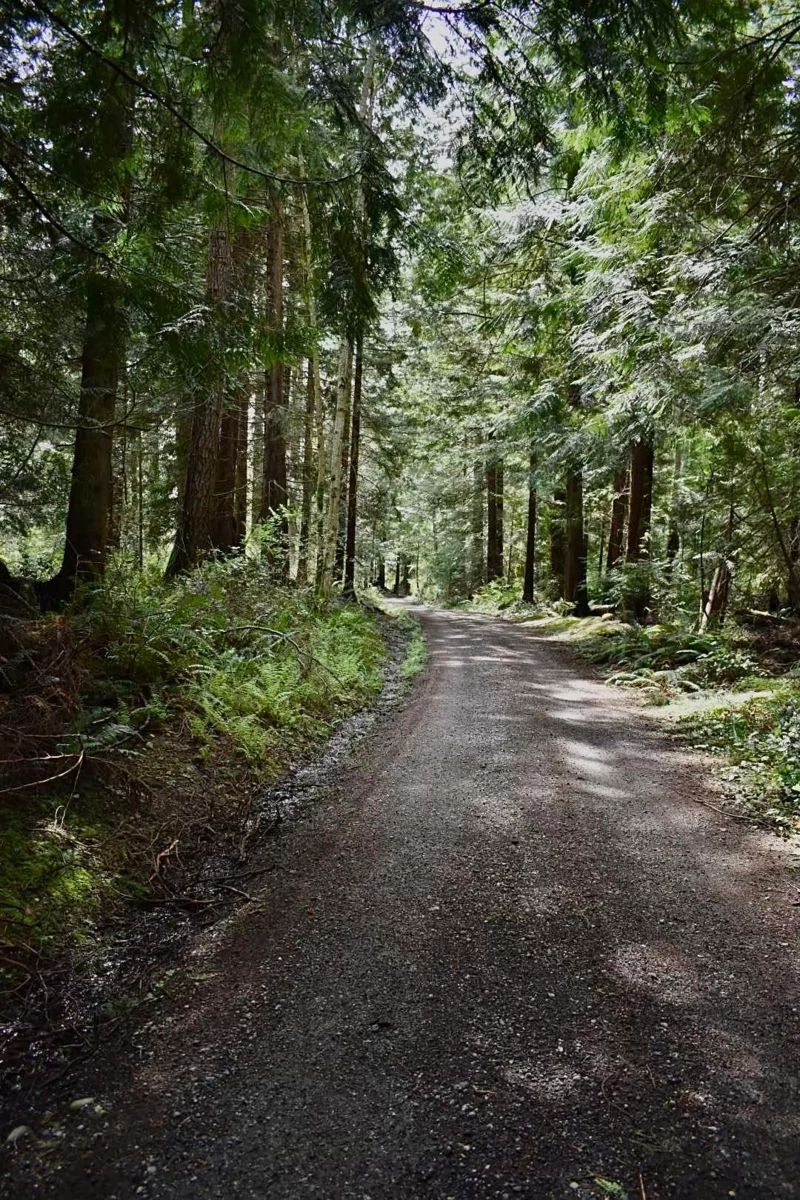 Family Room Photo of 2763 Lower Road, Roberts Creek, BC