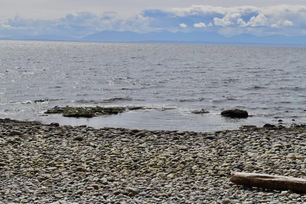 Laundry Room Photo of 2763 Lower Road, Roberts Creek, BC