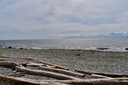 Front exterior of 2763 Lower Road, Roberts Creek, BC