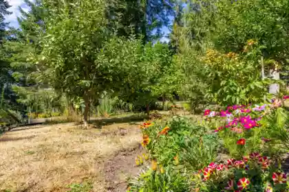 Street View Photo of 419 Clanton Road, Galiano Island, BC