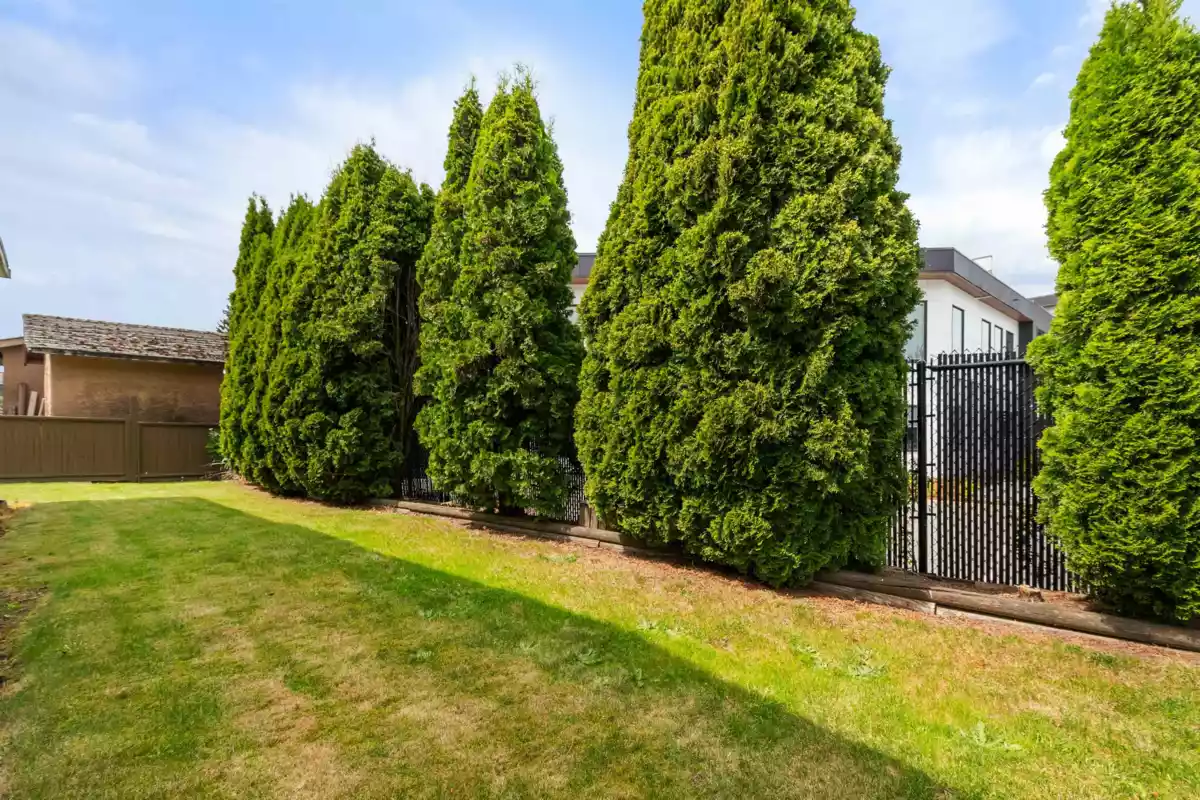 Garage Interior Photo of 76 6035 Vedder Road, Chilliwack, BC