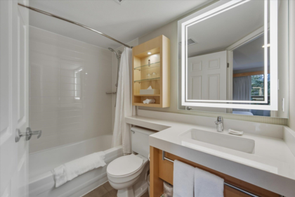 Primary Bathroom Photo of 1266 4308 Main Street, Whistler, BC