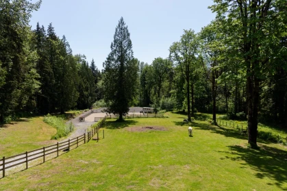 Swimming Pool Photo of 27454 110 Avenue, Maple Ridge, BC