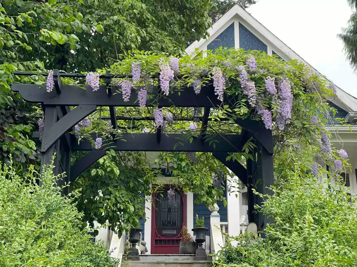 Family Room Photo of 2201 St George Street, Port Moody, BC