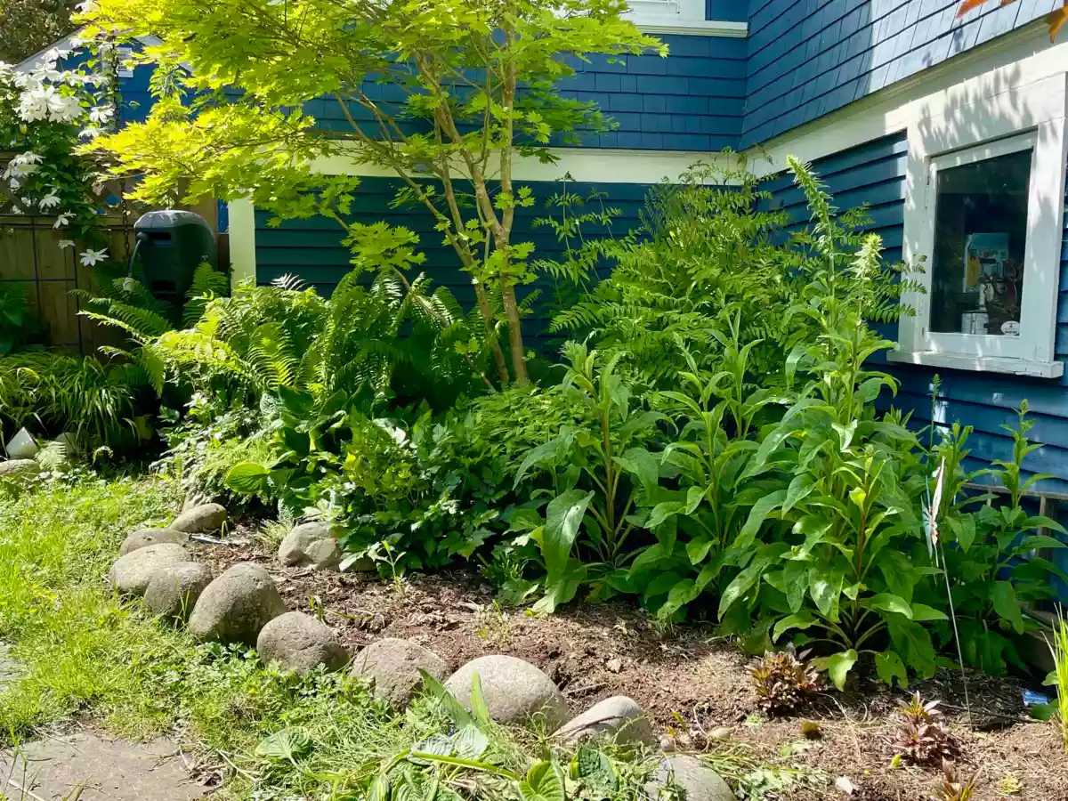 Kitchen Photo of 2201 St George Street, Port Moody, BC