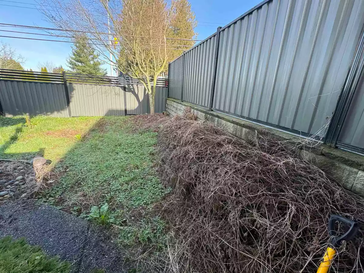 Aerial View of 18048 64 Avenue, Surrey, BC
