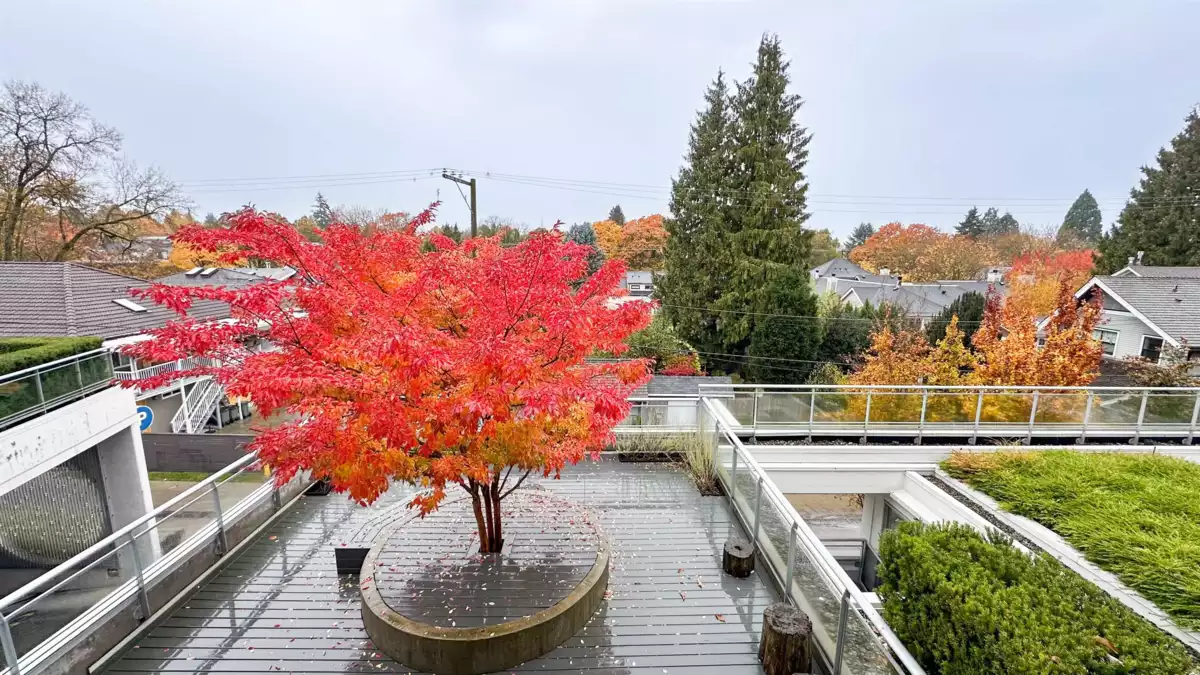 Laundry Room Photo of 301 3333 Main Street, Vancouver, BC