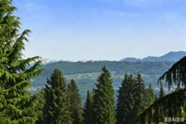 6415 Buckingham Drive, Burnaby, BC