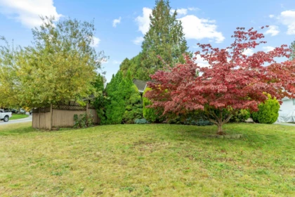 Backyard Photo of 32925 Orchid Court, Mission, BC