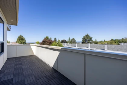 Aerial View of 3131 Williams Road, Richmond, BC