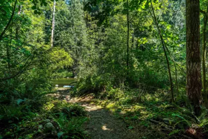Mudroom Photo of 23463 Dogwood Avenue, Maple Ridge, BC
